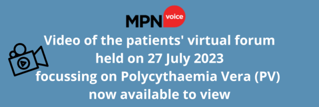 videovirtual forum PV 27 Jul 23 (2)