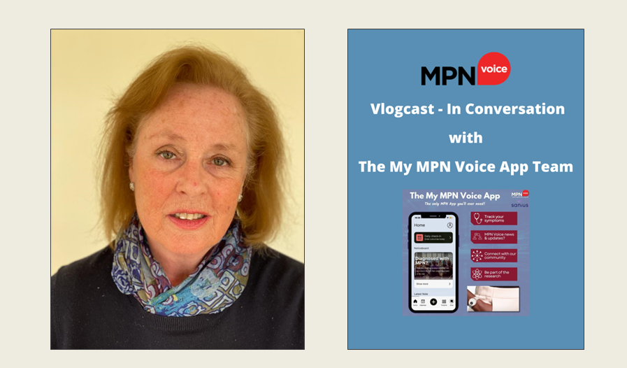 Vlogcast photos – in conversation with app team _ web