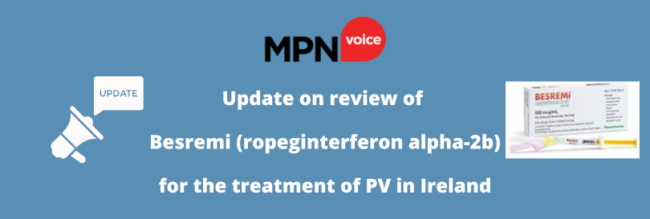 NCPE review of Besremi